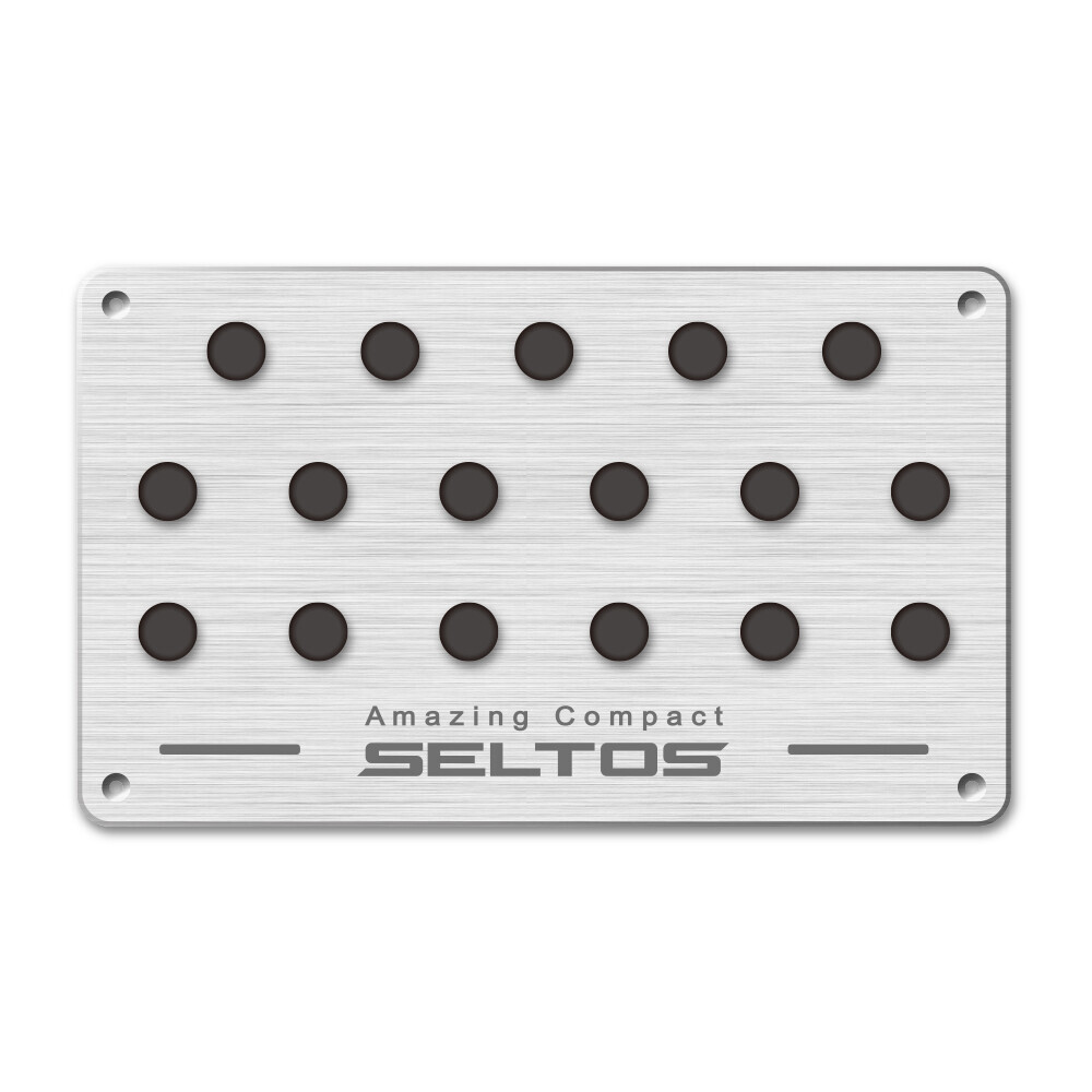 드라이빙 플레이트 셀토스 실버