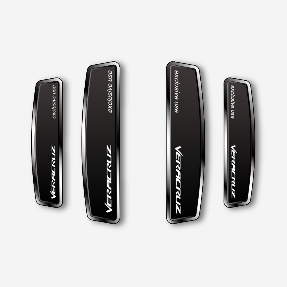 블랙 쉴드 엠블럼 도어가드 베라크루즈