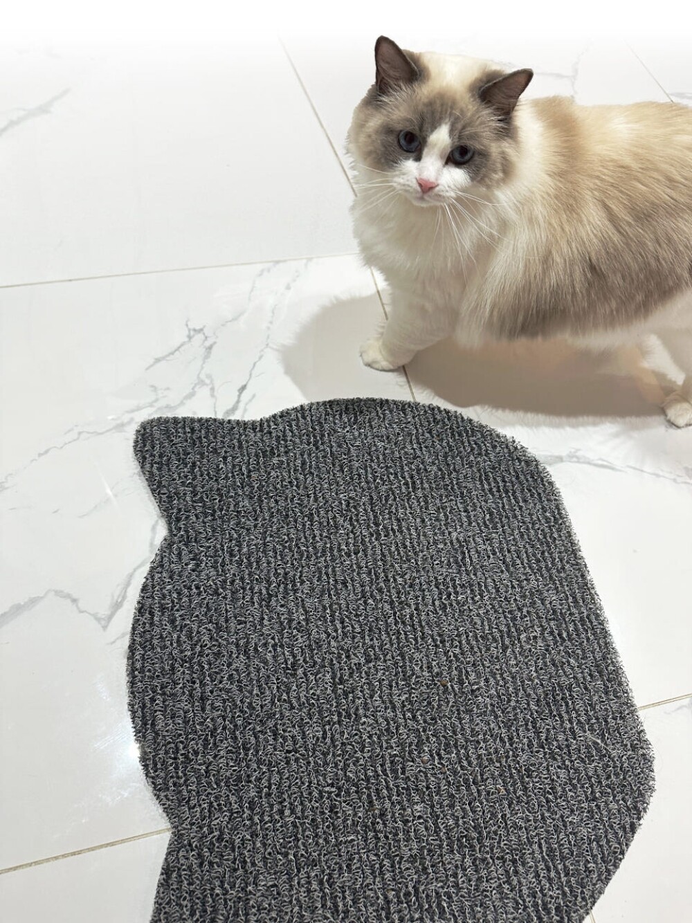 망고맘 작은고양이 모래매트 코일매트